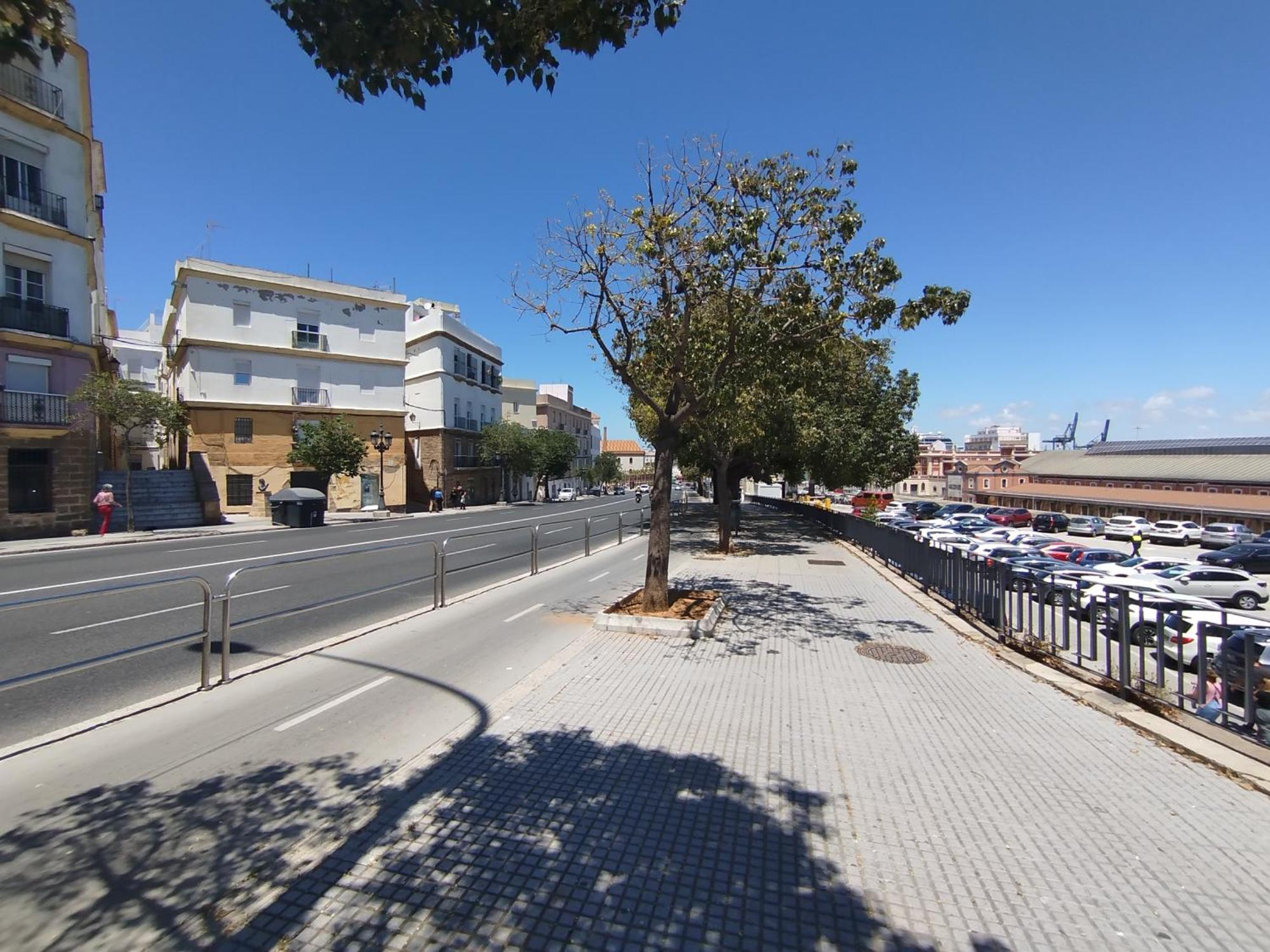 Cadiz Centro Goleta Loft By C.Dreams Apartment Exterior foto